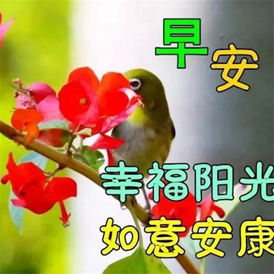 教练式管理 第179页