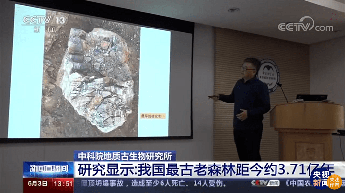 新疆最新动态，历史与现代的交汇点