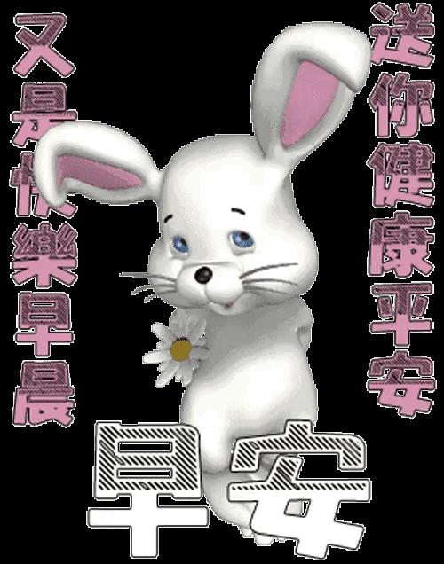 洪澎
